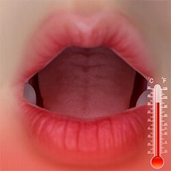 Oral Heating Function